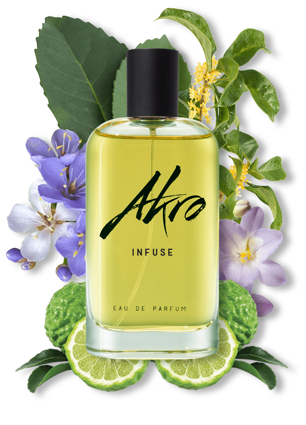 Akro Infuse | Tea perfume | AkroFragrances - AKRO Fragrances Akro Infuse | Tea perfume | AkroFragrances - AKRO Fragrances