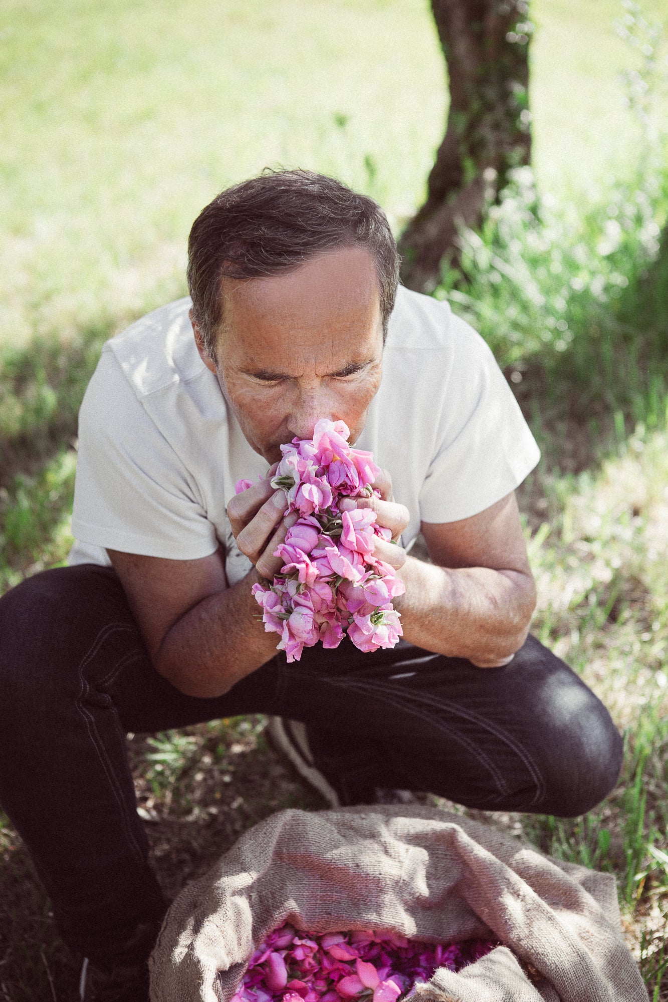 Olivier Cresp roses