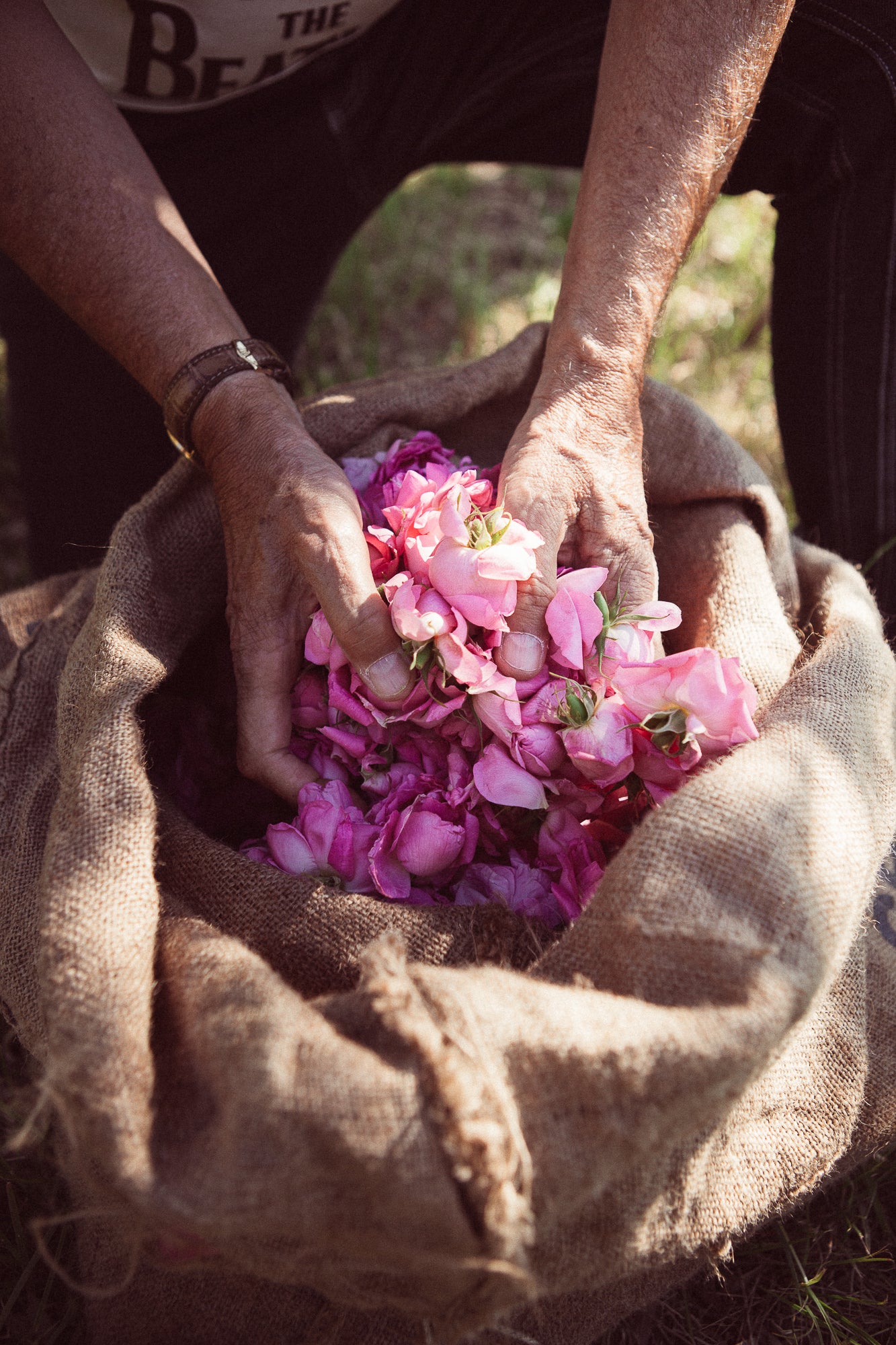 Olivier Cresp picking flowers