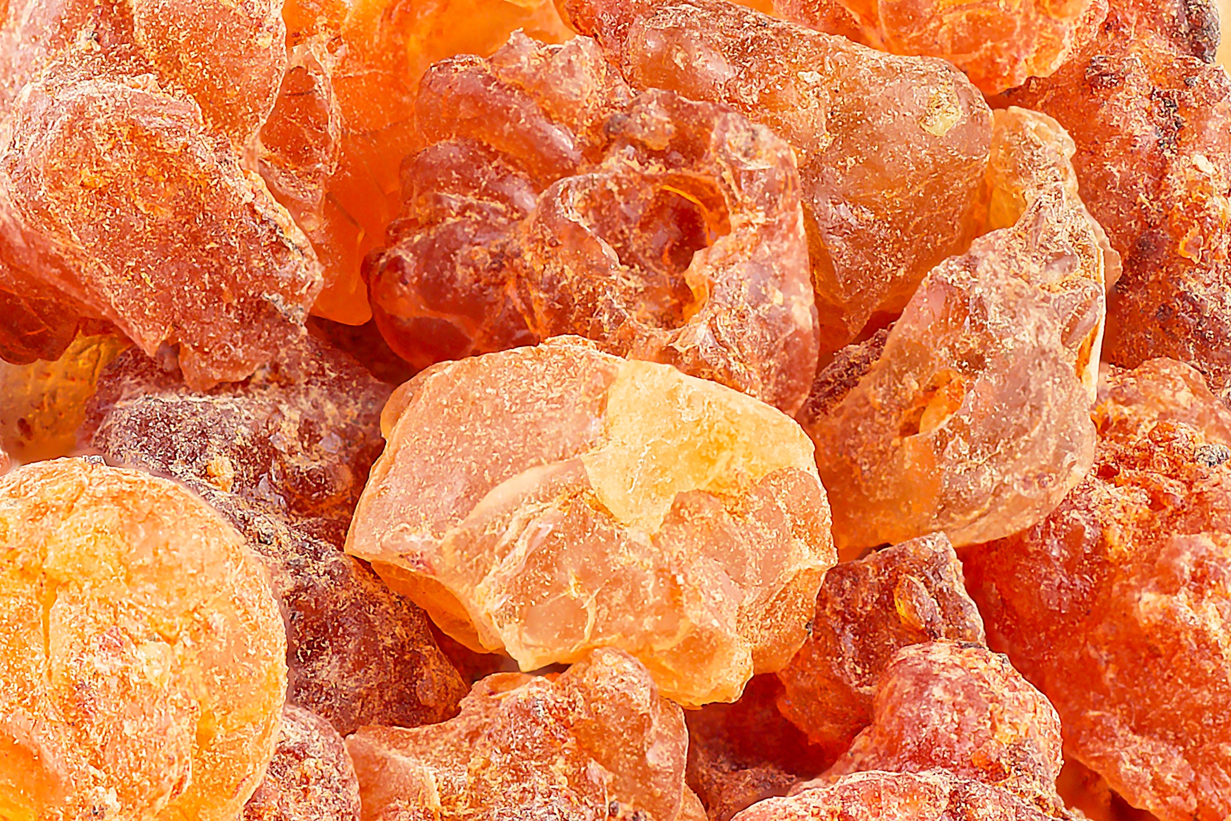 ambery fragrances parfums ambrés