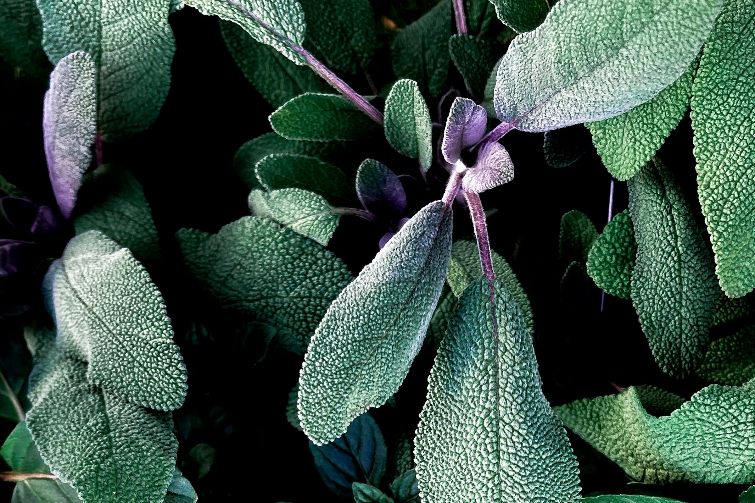 aromatic fragrances akro