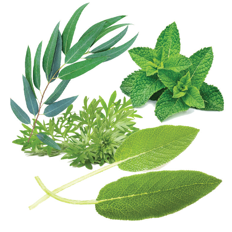 haze ingredients akrofragrances