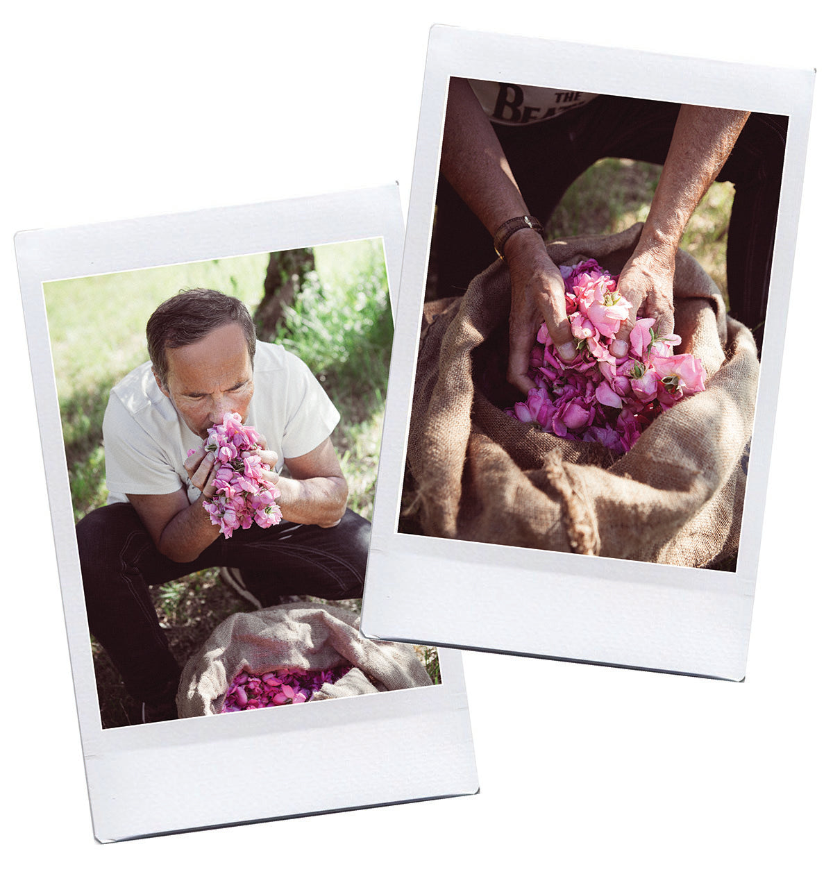 olivier cresp with flowers akrofragrances